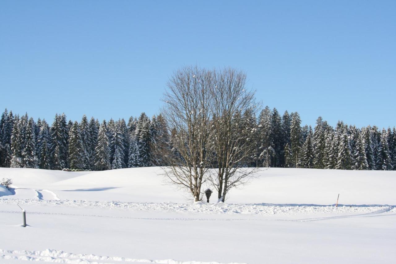 Ferienwohnung Haus Allgäu Ruh Görisried Exterior foto