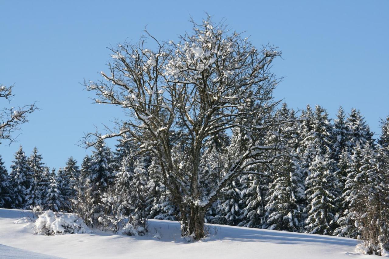 Ferienwohnung Haus Allgäu Ruh Görisried Exterior foto
